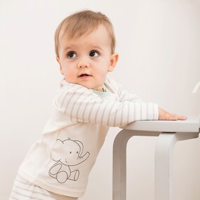 Raglanshirt Elefant