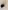 LED Lampe - Pelle der Pinguin
