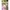 Body kurzarm Leinenoptik
