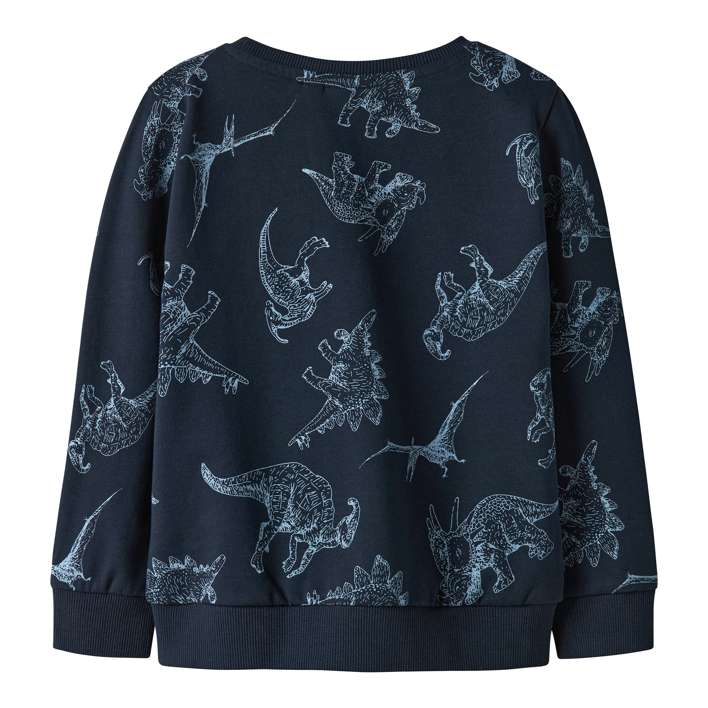 Name It Sweatshirt Dinos