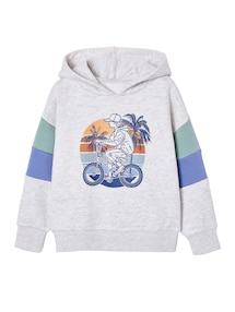 Kapuzensweatshirt mit farbigen ƒrmeln und Prints, Jungen