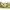 Pferd My Cute Horse mit Bewegung & Sound