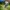 Mountainbike Kansas 20 Zoll / 24 Zoll