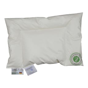 Oreiller en duvet bio 40x60 cm