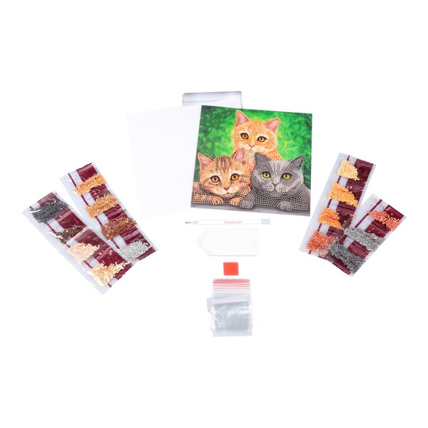 Aperçu du produit 2