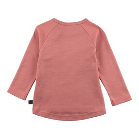 Raglanshirt langarm Gänse