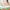 No touch + touch Stirnthermometer mit Age Precision® BNT 400