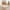 Spiel- und Krabbeldecke Savanna Friends