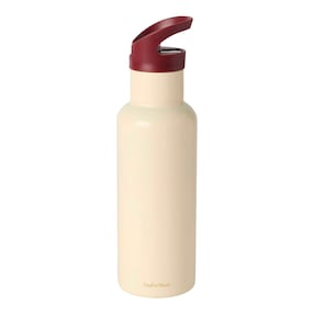 Edelstahl-Trinkflasche mit Strohhalm, 500ml