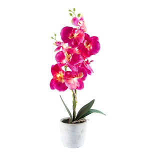 LED-Orchidee