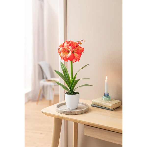 Aperçu du produit 2