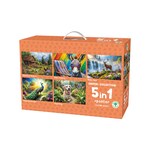 Coffret de 5 puzzles de 1000 pièces chacun