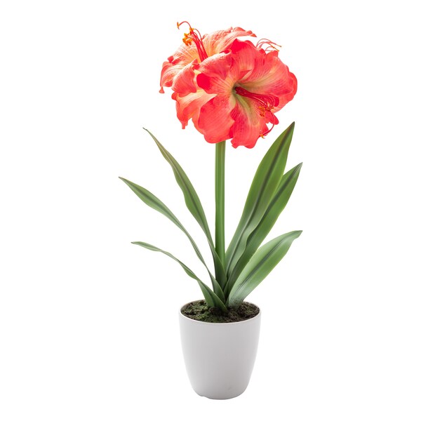 Aperçu du produit 1