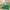 Kinderteppich Super Soft Hochflor Silky Kids