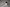 LED Lampe - Pelle der Pinguin