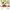 Babynahrungszubereiter und Sterilisator Nutribaby Glass