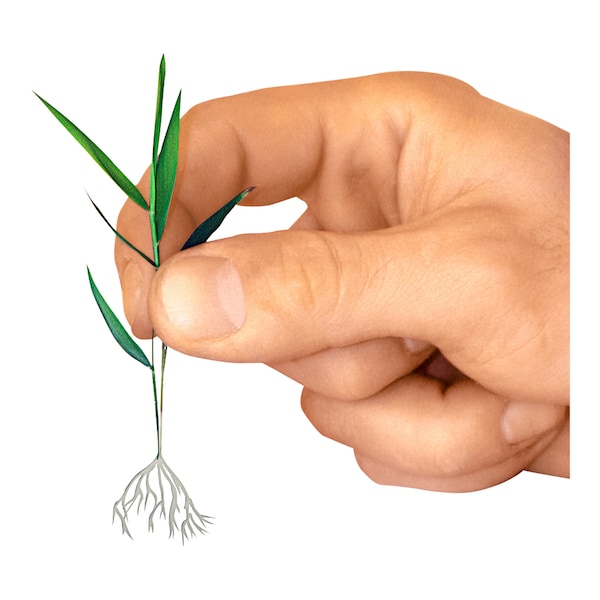 Produktvorschaubild 5