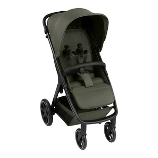 Buggy Avus 2