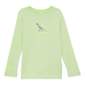 Shirt langarm Dino