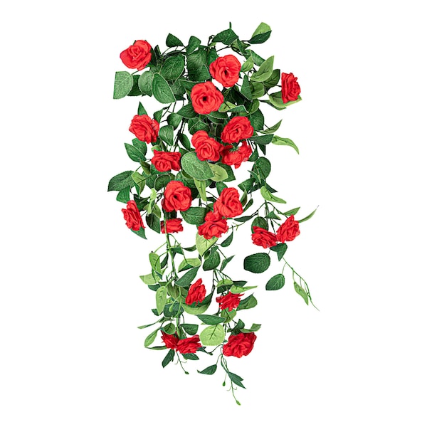 rot