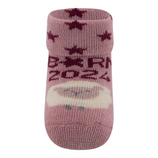 Erstlingssocken Born in 2024