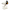 Kuscheltier Snoopy 30cm