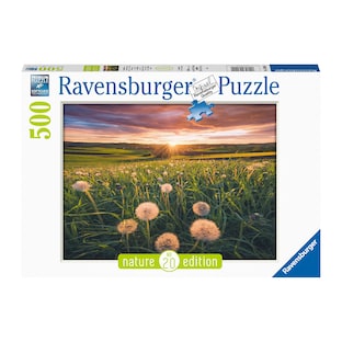 Puzzel "Paardenbloemen bij zonsondergang", 500 stukjes