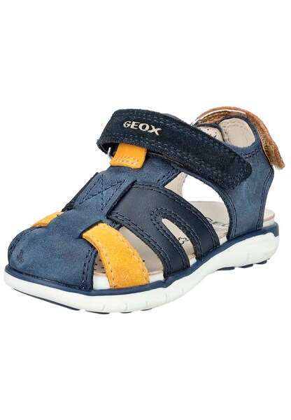 Navy/Gelb