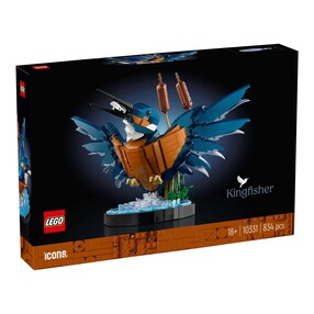 10331 Eisvogel