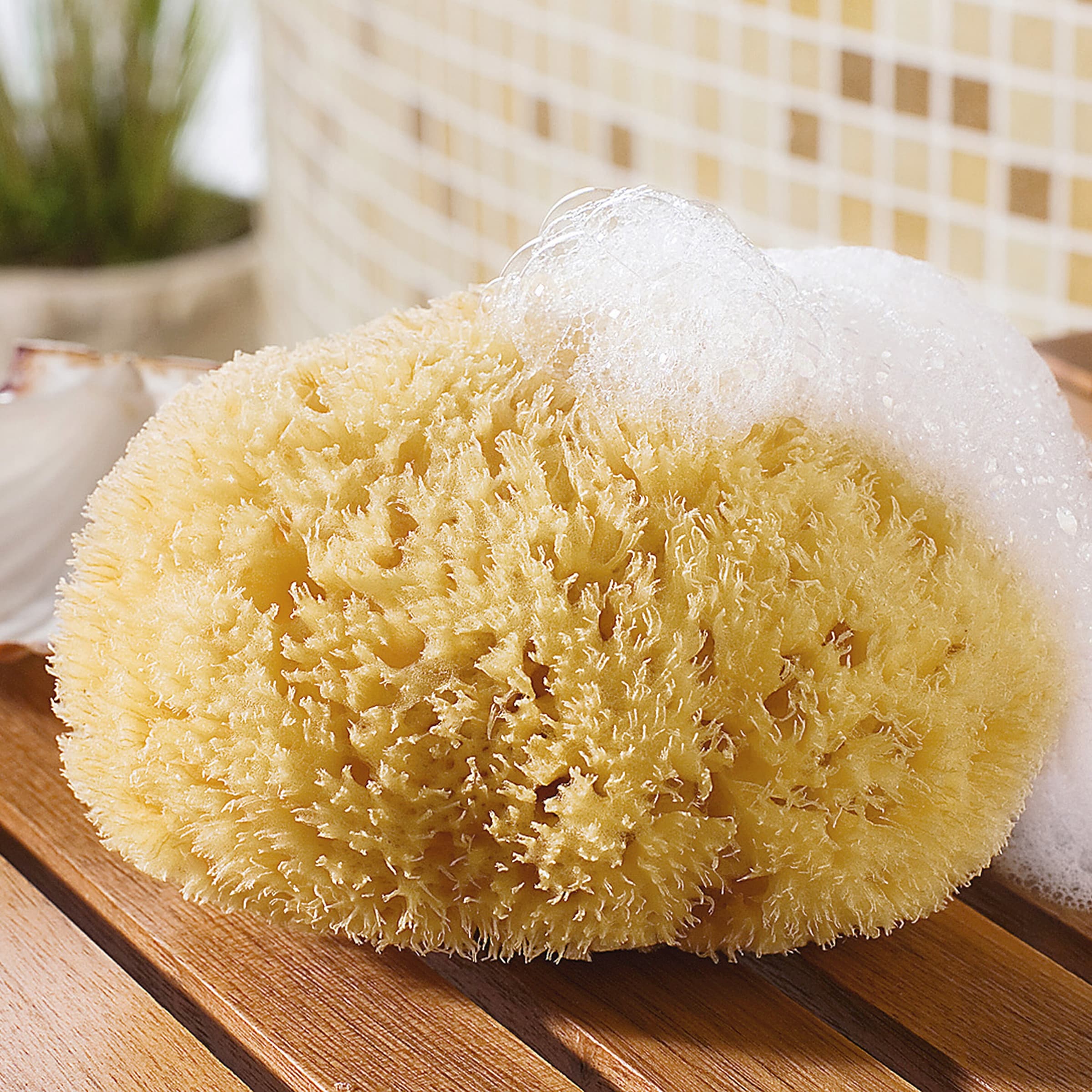 CROLL & DENECKE Naturschwamm beige