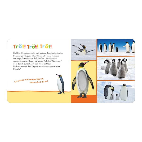 Aperçu du produit 2