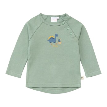 Raglanshirt langarm Dino