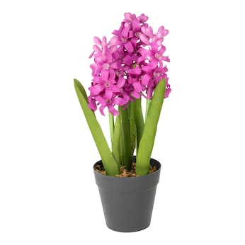 Kunstblume „Hyazinthe“