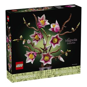 11510 Magnolienzweige