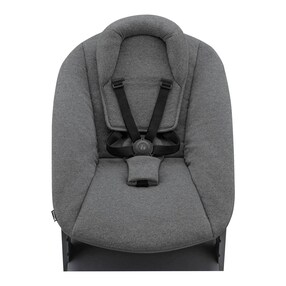 Hochstuhl Alpha + inkl. Newborn Set Plus