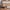 Beistellbett Thomi Plus 5in1