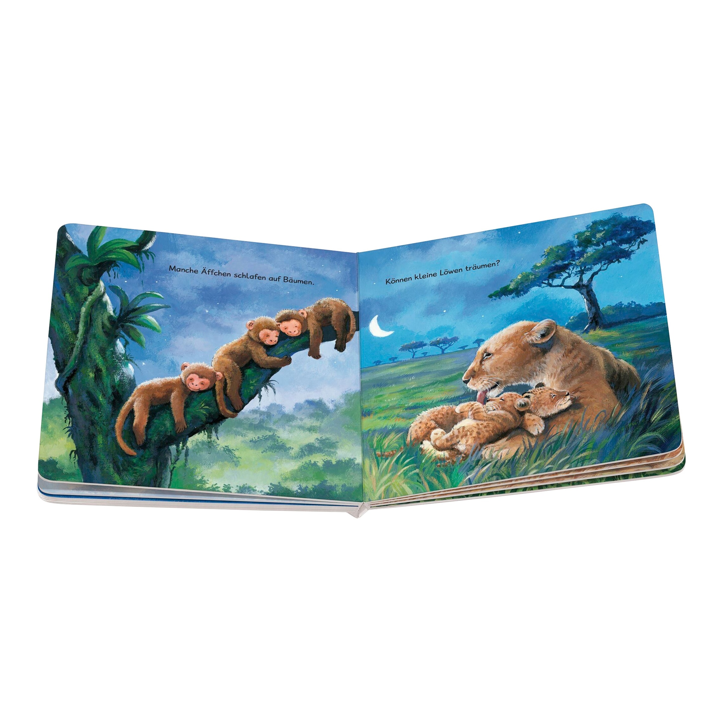 Pappbilderbuch Wenn kleine Tiere müde sind