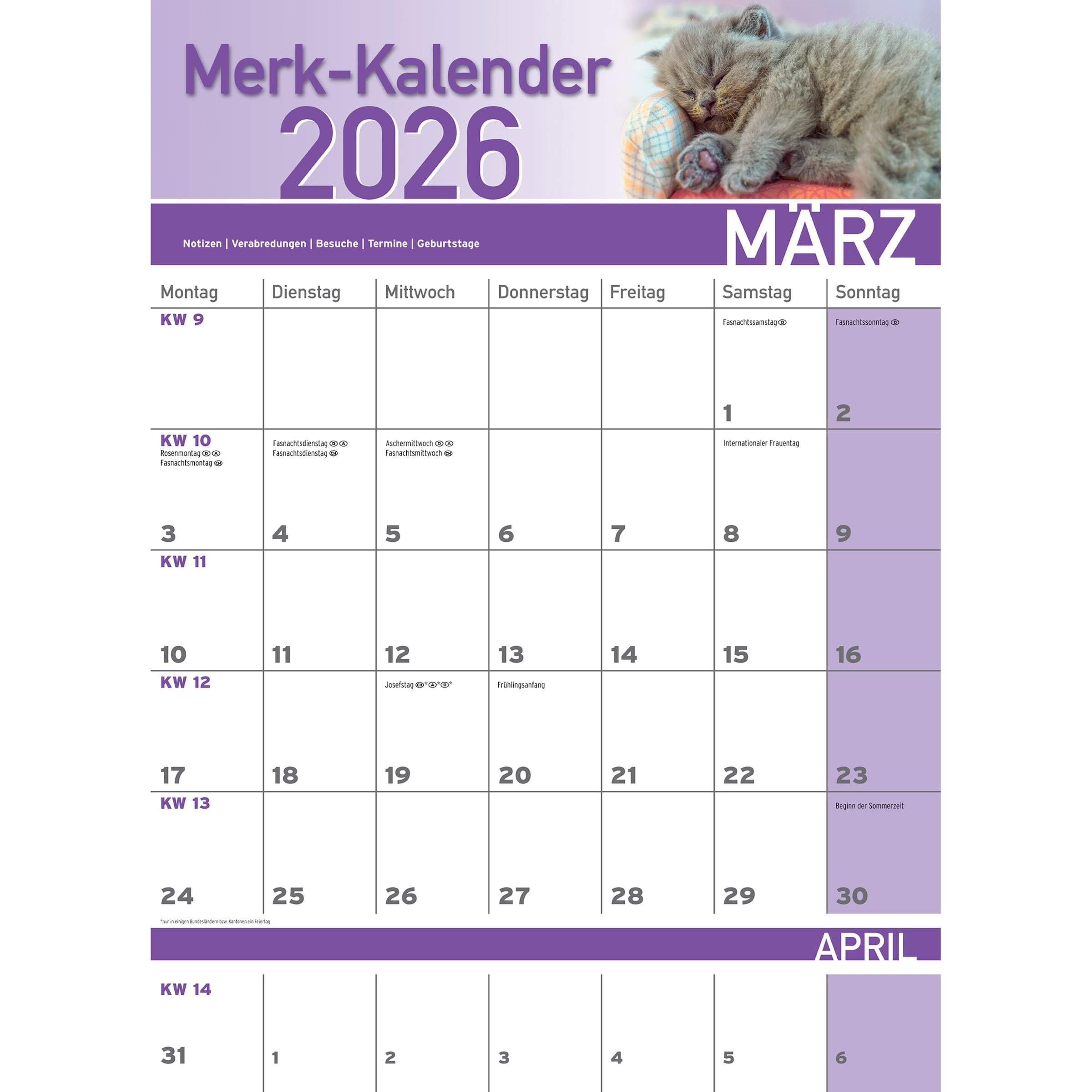 Merkkalender 2026 „Katzenbabies“