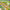 Kindersitzgarnitur Outdoor+, natur  Outdoor+