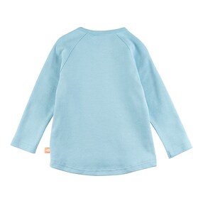 Raglanshirt Schildkröte