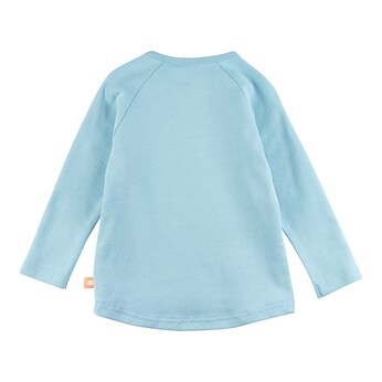 Raglanshirt Schildkröte