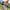 Mountainbike Verona 24 Zoll