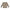 Pullover Ringel