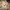 76469 Dobby, der Freie Elf