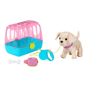 Hund Lucky mit Box