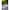 Puppen Fahrrad mit Welpen Lucky