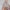 Sommer-Sleepoverall Musselin 0.5 TOG