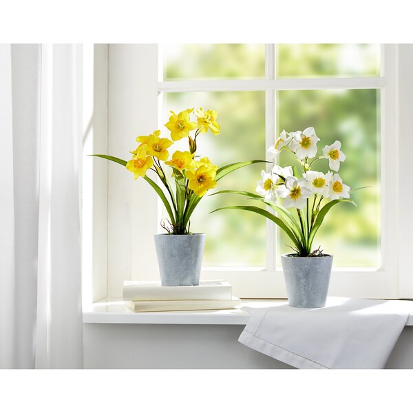 Produktvorschaubild 2