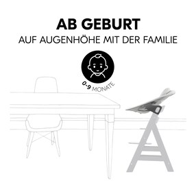 Babywippe Bouncer Premium für Alpha und Beta