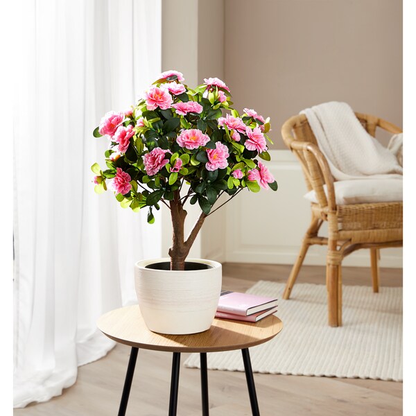 Produktvorschaubild 2